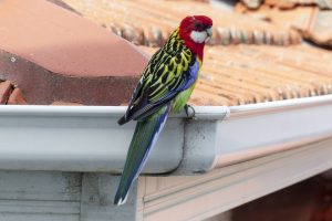 Le Zingueur, un pro de la pose des toitures et gouttières